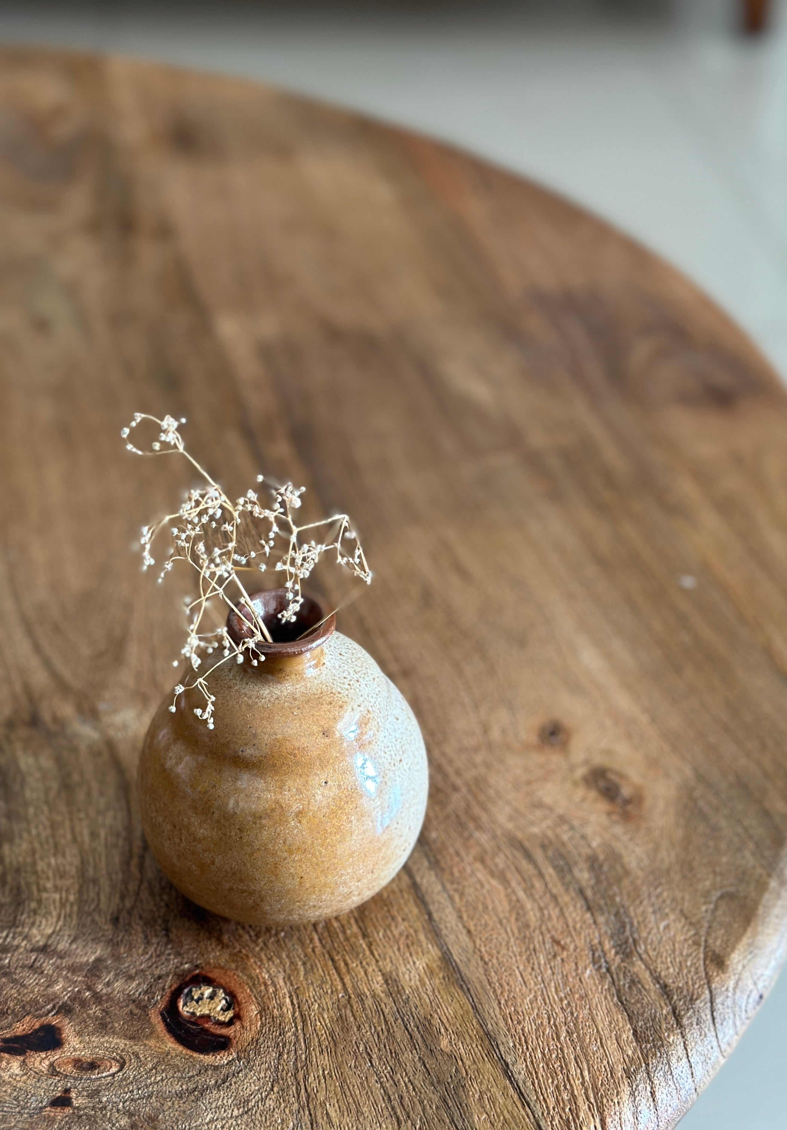 Shades of Yellow Barnyard-lifestyle